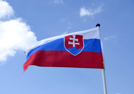 Словакия возобновила прием заявок на туристические визы от россиян