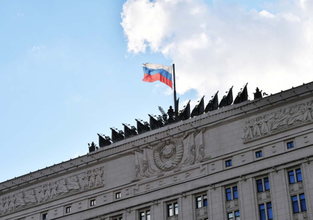 В МО назвали число выданных справок об участии в СВО через витрину данных