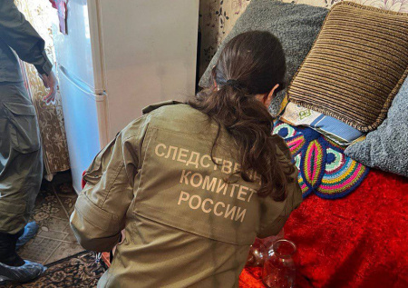 В Нижегородской области мужчина рассказал следователям о суррогате и умер