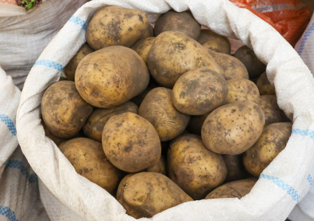 Россиянам рассказали, можно ли законно продавать излишки своего урожая