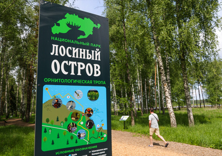 Стычки, протесты: что происходит с дорогой через «Лосиный остров»