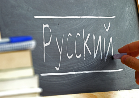 Царев рассказал о скрытой роли русского языка на Украине