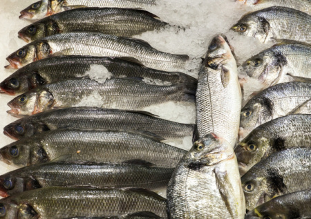 ЕС резко нарастил импорт одной российской продукции