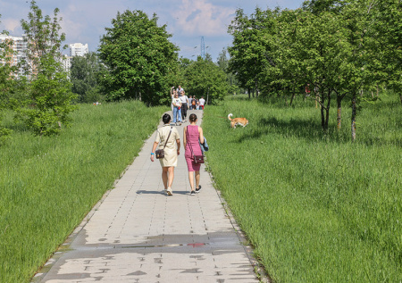 Стало известно о климатическом «развороте» в Москве в 2050 году
