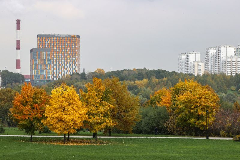 Наступает метеорологическая осень