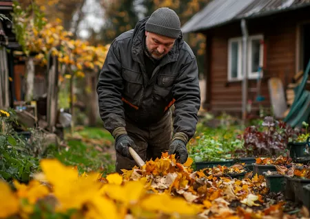 Что посадить на огороде в октябре, чтобы собрать большой урожай весной