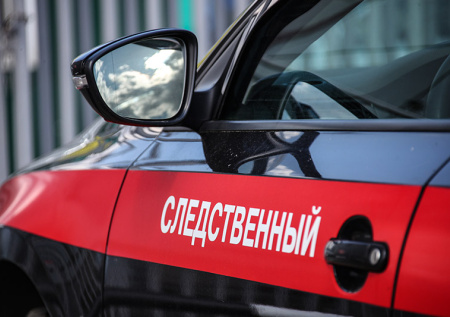 Появился подозреваемый в жестоком убийстве молдавской студентки