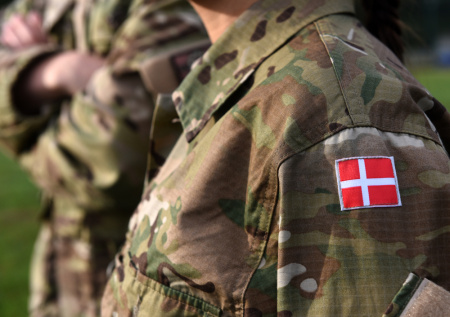 Военэксперт раскрыл, зачем на самом деле Дания объявила срочную мобилизацию