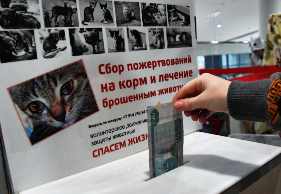 Сбор пожертвований на благотворительной выставке