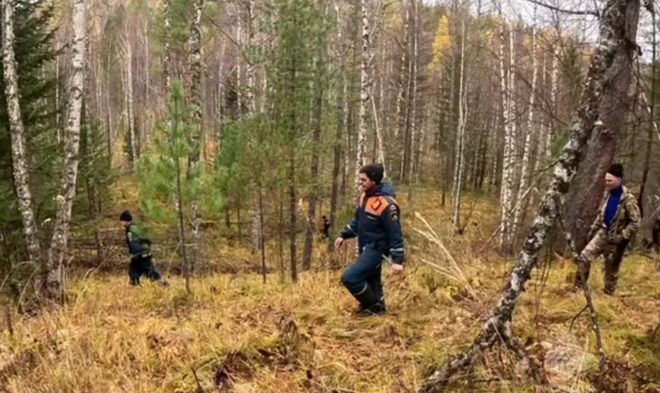 Поиски пропавшей семьи