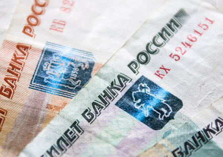 Ненастоящая племянница Шойгу украла 200 млн рублей