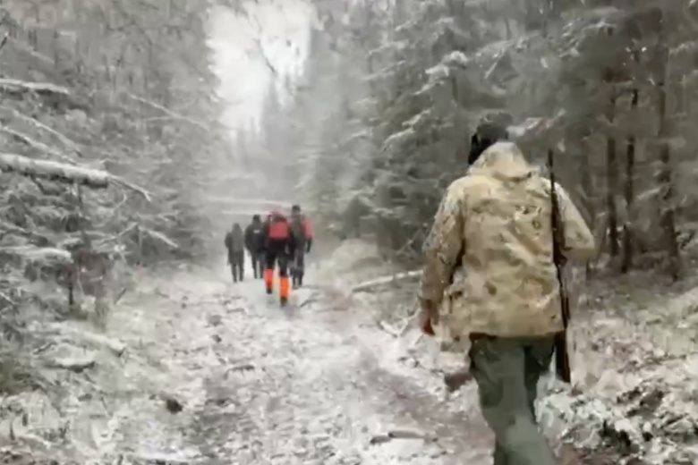 Спасательная группа в тайге под Красноярском на месте поисков семьи Усольцевых