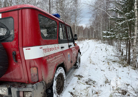 Упали в провал или съели волки: что произошло с семьей Усольцевых в тайге