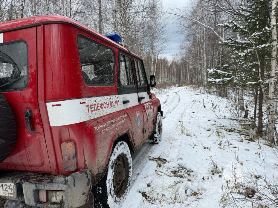 Сотрудники МЧС России на месте поиска семьи Усольцевых в тайге Красноярского края