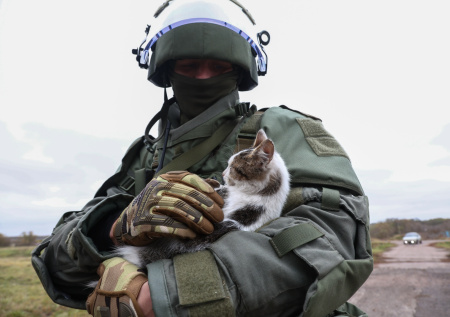 «Постоянно рядом»: кот Барсик стал талисманом для военных в зоне СВО