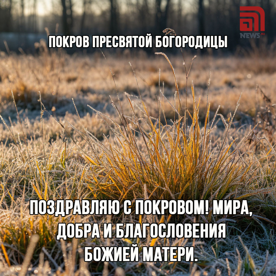 Поздравляю с Покровом! Мира, добра и благословения Божьей Матери