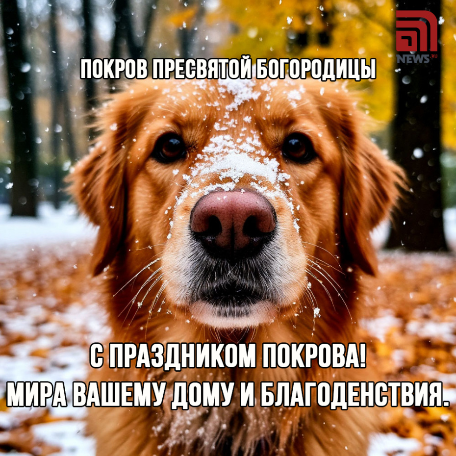 С праздником Покрова! Мира вашему дому и благоденствия