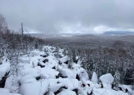 «Стали свидетелями»: юрист раскрыл возможный сценарий пропажи Усольцевых