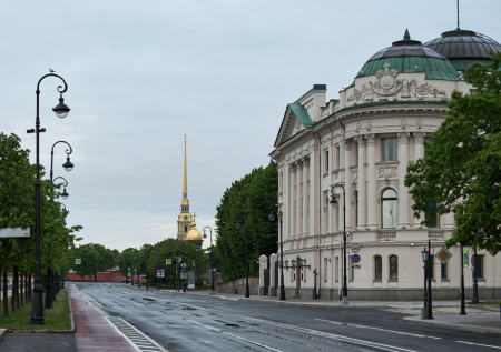 В центре Петербурга утонул морж