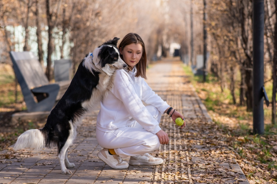 Гороскоп на 29 октября 2025 года для всех знаков зодиака