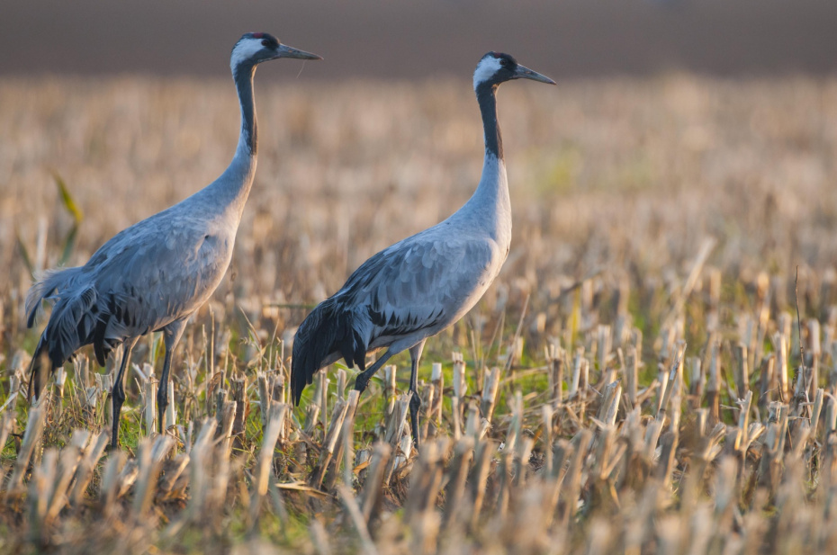 Погодные приметы на 29 октября