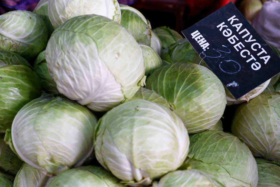 Продажа капусты на сельскохозяйственной ярмарке в ОАО «Агропромышленный парк «Казань»
