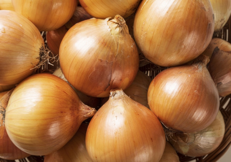 Приметы 31 октября: Луков день — Осенняя Овсяница и время для гаданий