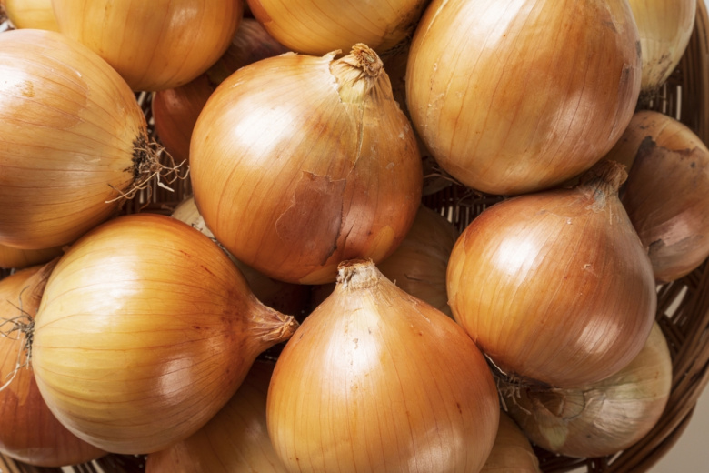 Приметы 31 октября