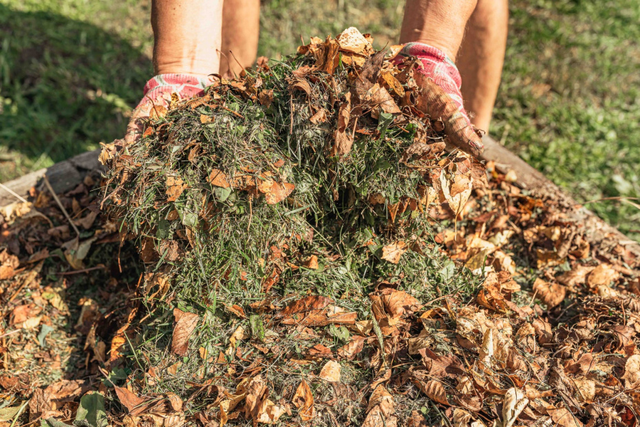 Вторая жизнь осенней листвы: 5 проверенных способов для вашего сада