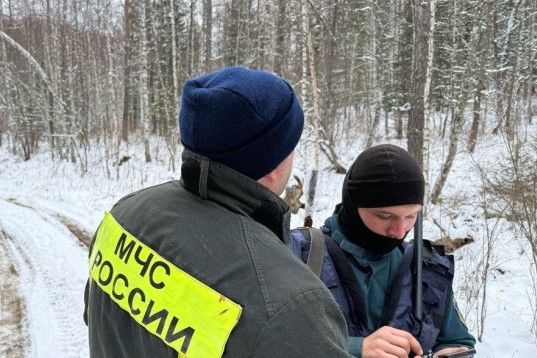 Cотрудники МЧС России на месте поиска семьи Усольцевых в тайге Красноярского края
