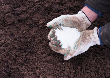 Ноябрьская подкормка сада: как подготовить растения к зиме и обеспечить богатый урожай