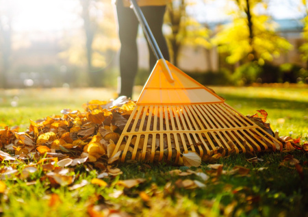 Вторая жизнь осенней листвы: 5 проверенных способов для вашего сада