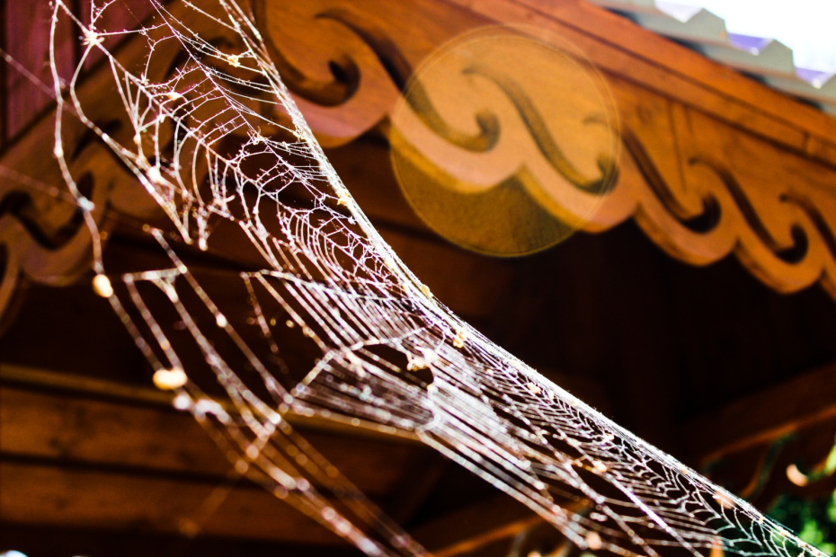 Погодные приметы на 1 ноября