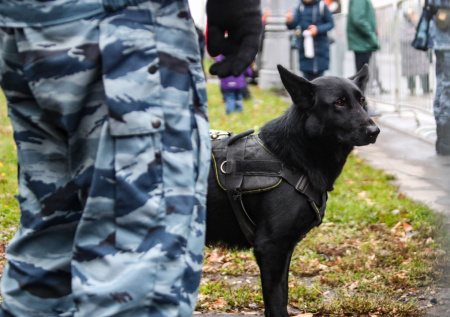 В Калининграде задержали работницу наркошопа