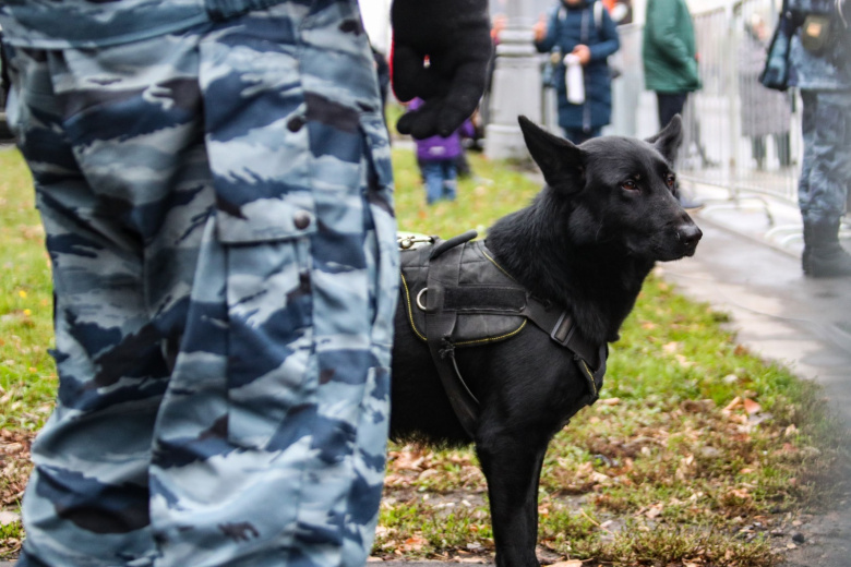 Сотрудник полиции со служебной собакой