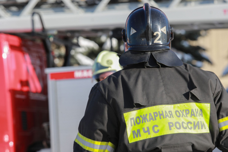 Сотрудники МЧС РФ