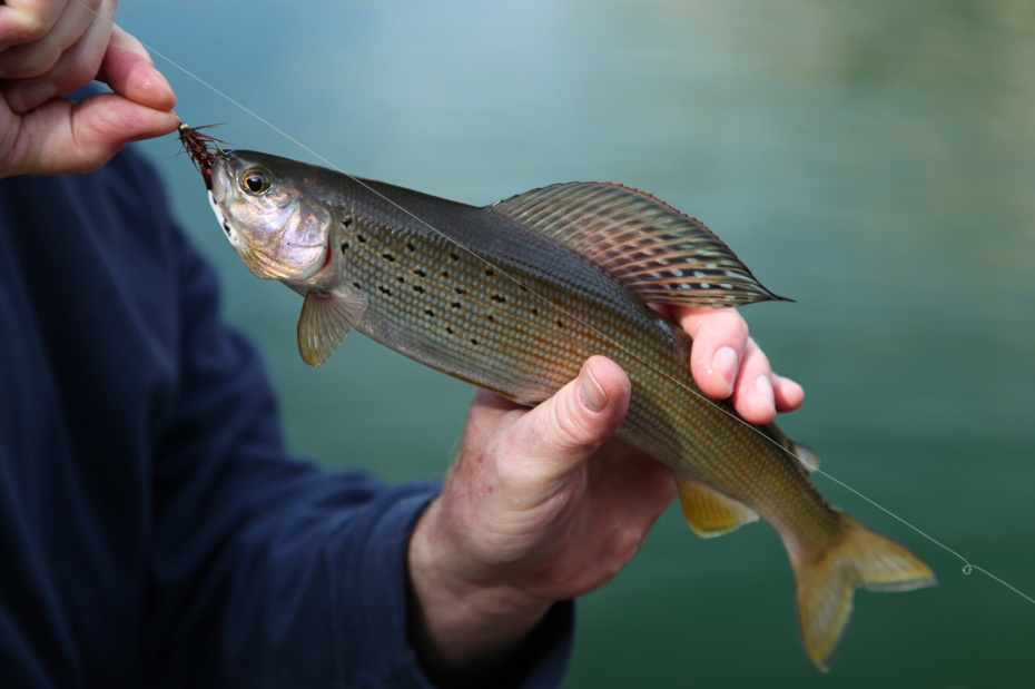 Лучшие искусственные мушки и натуральные наживки