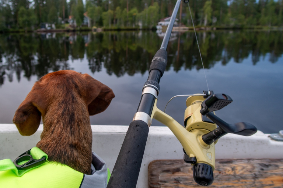 Снасти для ловли хариуса: нахлыст, спиннинг, поплавочная удочка