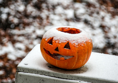 Депутат предложил, как наказать кафе и бары за любовь к Хеллоуину