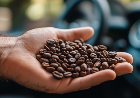 Свежий салон без химии: как кофе избавит машину от запаха табака за пару дней