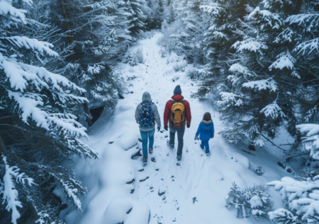 Появились новые детали об исчезновении семьи Усольцевых в тайге