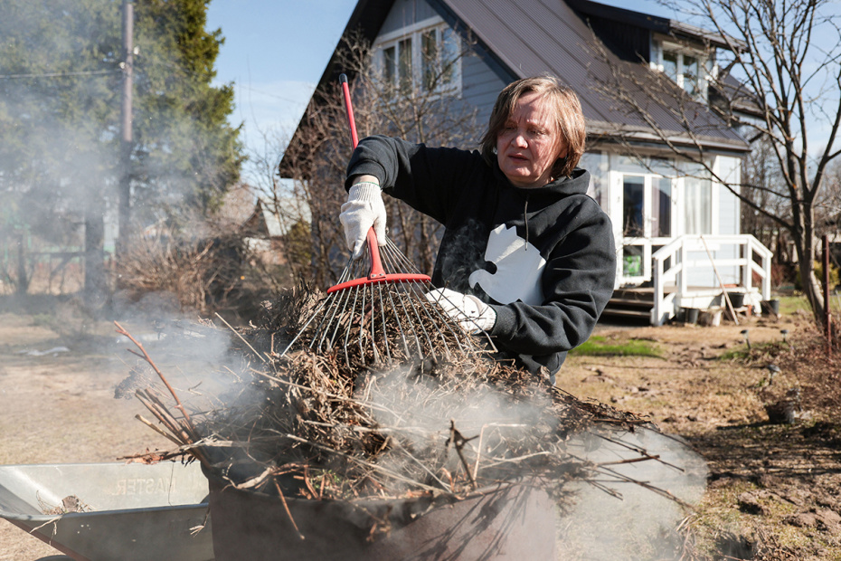 Что нужно сеять в ноябре