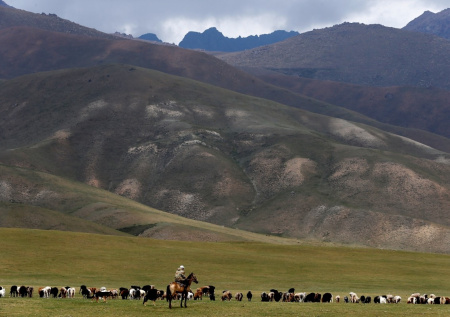 «Трехрогую» даму с бокалом нашли в Чуйской долине