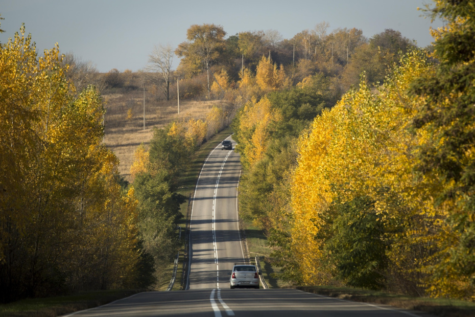 Золотое кольцо