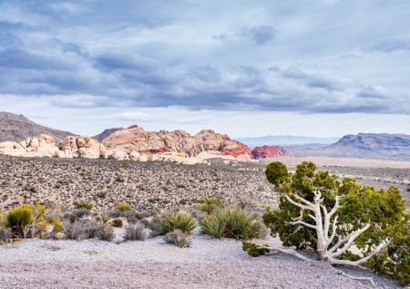 В пустыне Невады случайно сделали жуткую находку с человеческими останками