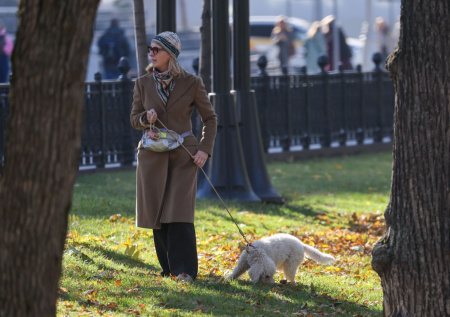 Ветеринар раскрыл неочевидную опасность для собак во время осенних прогулок