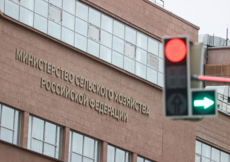 Замминистра Минсельхоза ушла в отставку