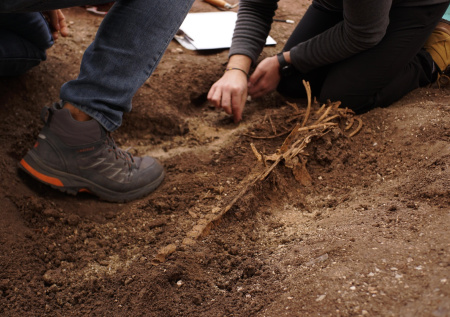 В США обнаружили тысячи древних артефактов