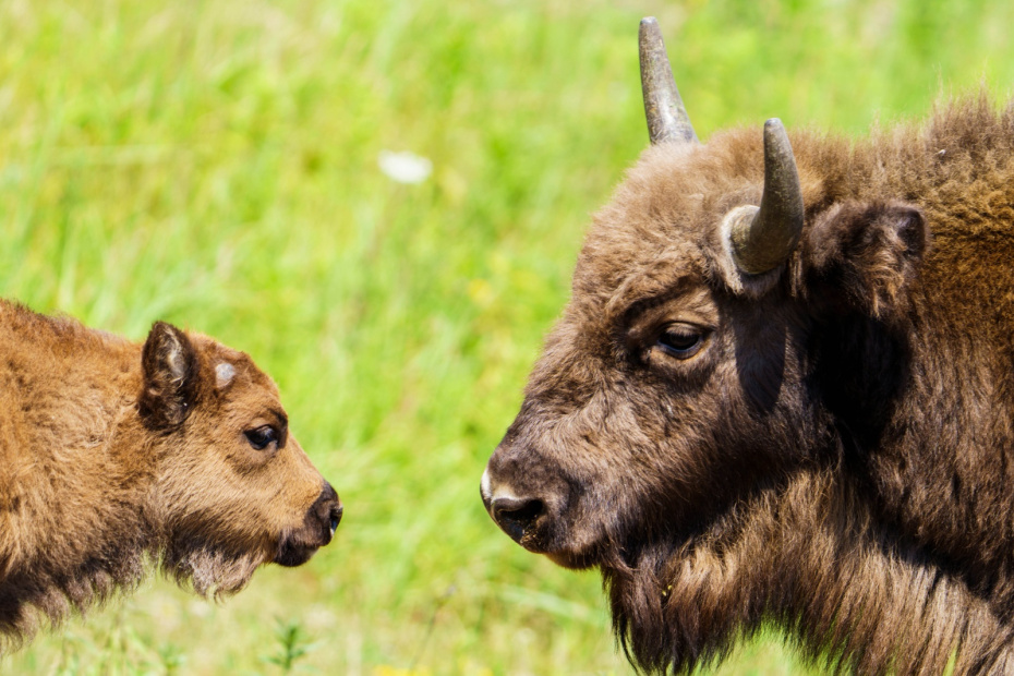 Какой сегодня день? Праздники и памятные даты 1 ноября 2025 года