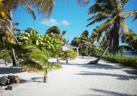 Турист приехал в одну из самых опасных стран мира и умер спустя сутки